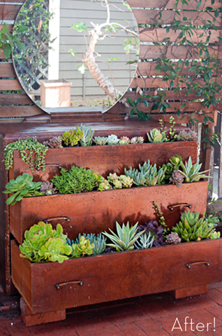succulentplanter.png