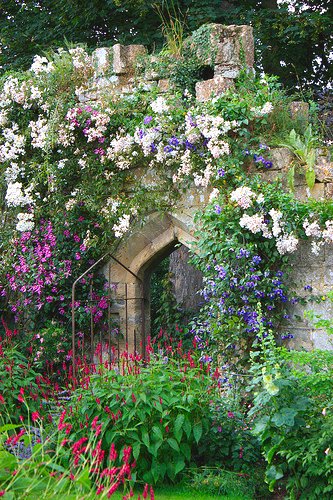 sudeley-castle-rose-garden-pic.jpg