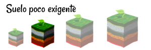 Suelo_poco_exigente.png