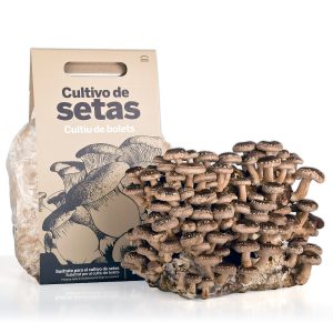 sustrato_cultivo_shiitake-300x300.jpg