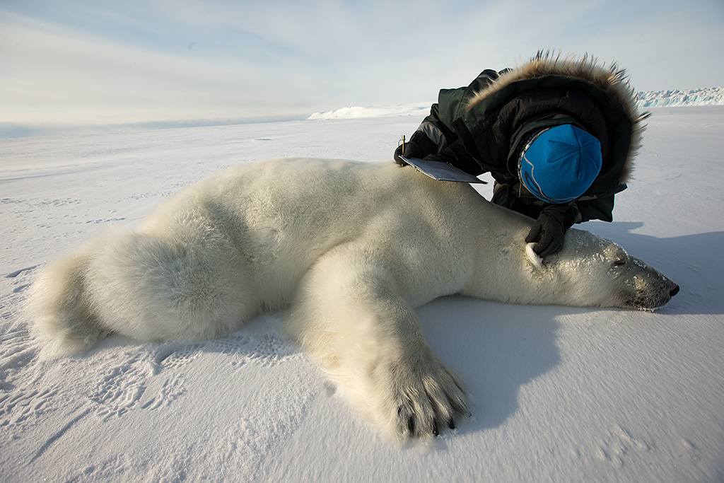 svalbard_expedition_brutus_ostling_wwf_canon.jpg