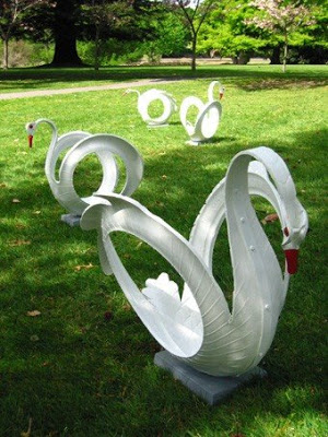 Swans+008sm.jpg