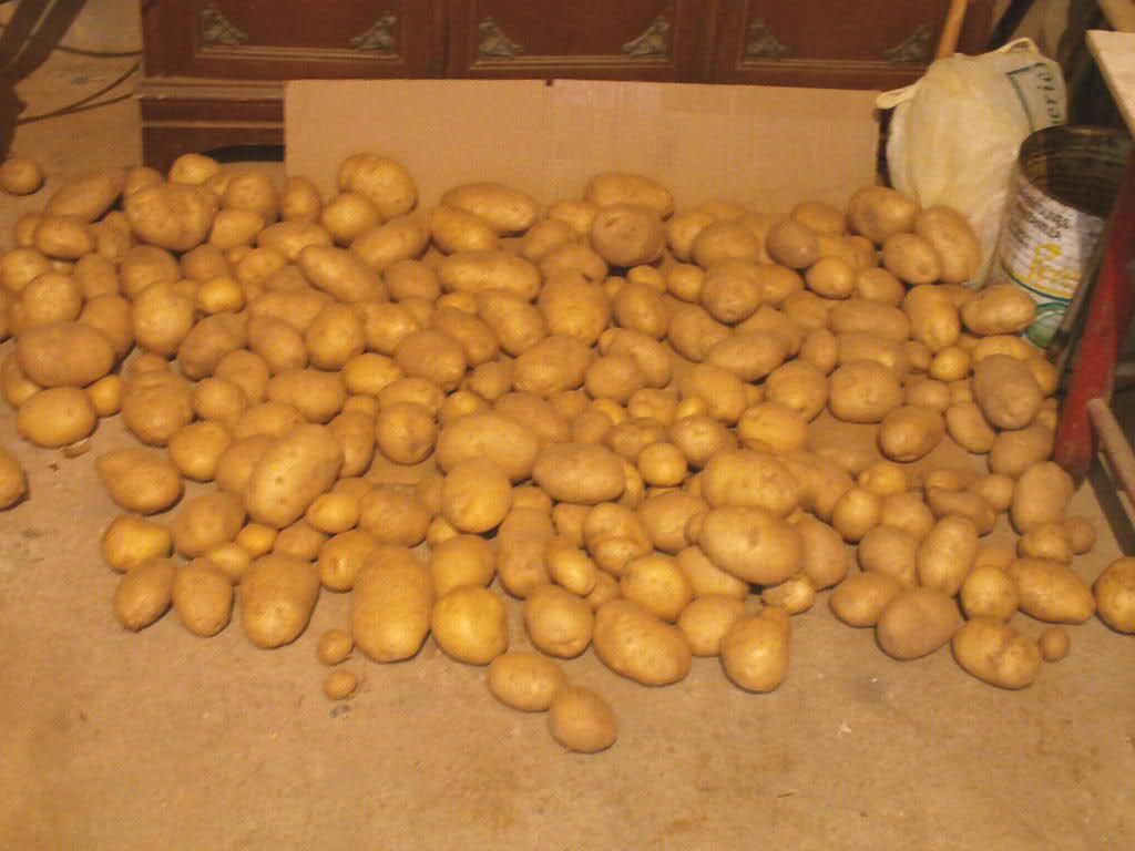 sys4gn.jpg