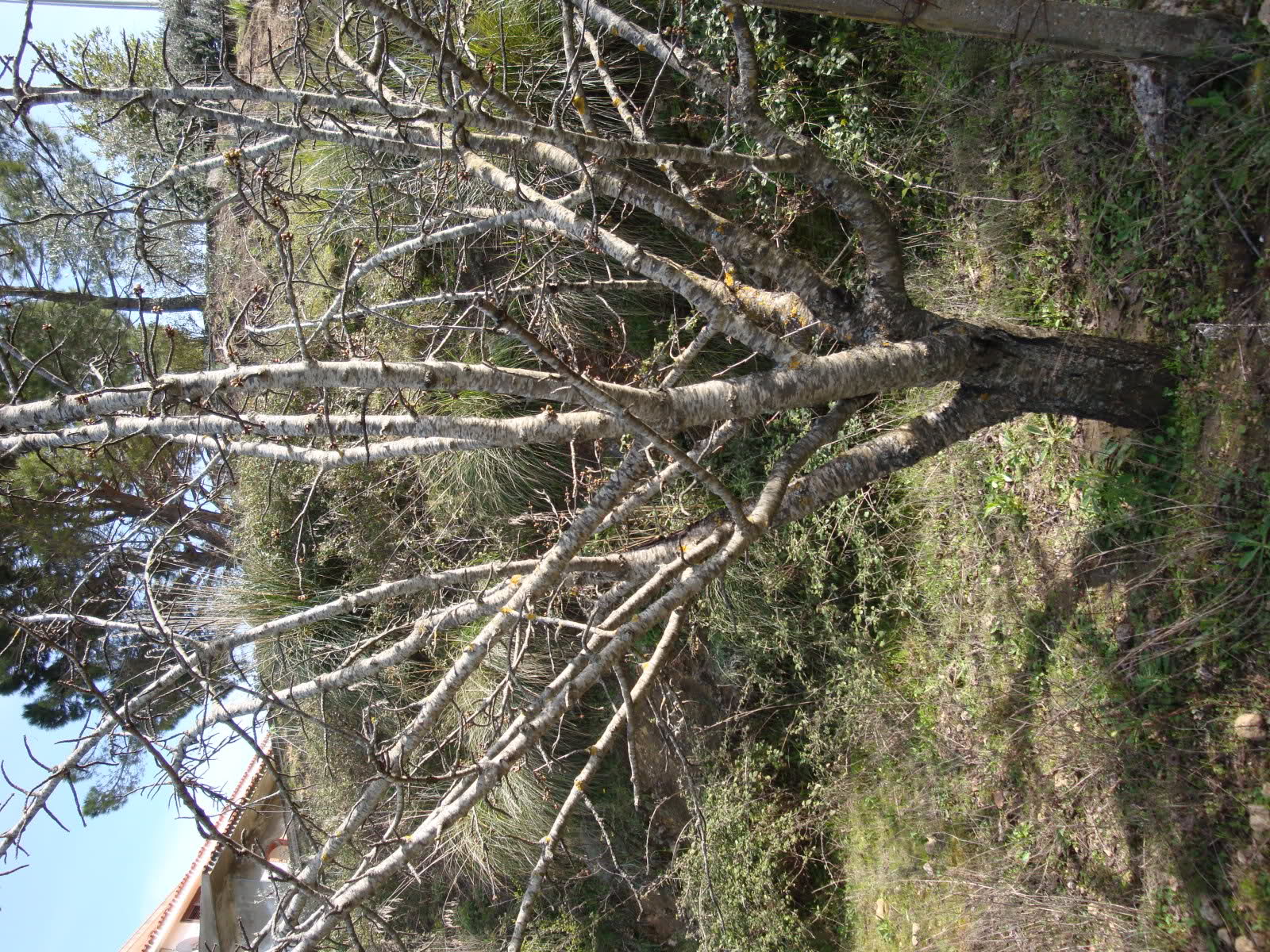 t011z6.jpg