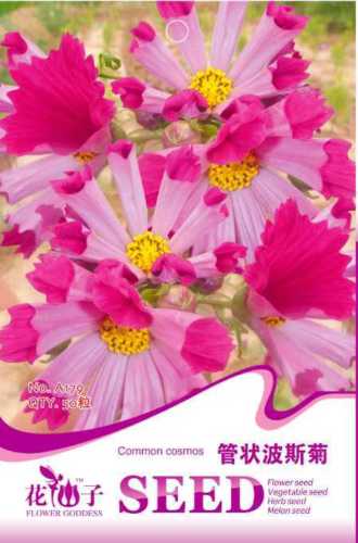 $T2eC16FHJHEE9ny2pwkgBRN4Z1M-U!~~60_12.JPG