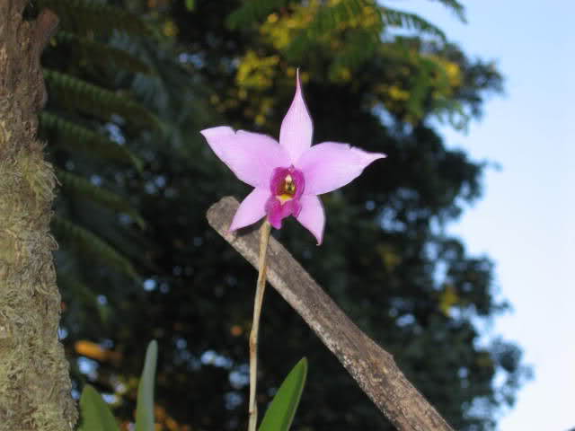 t70uqa.jpg