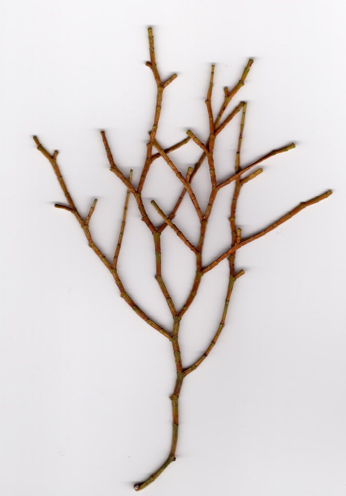 ta02_resize.jpg