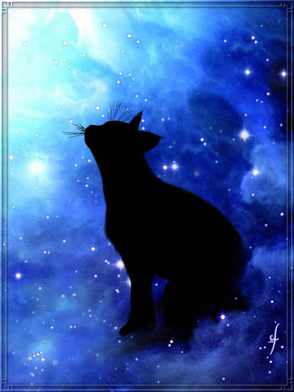 tabitha.jpg