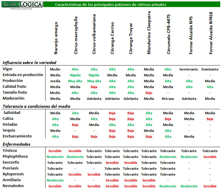 Tabla-caracter%C3%ADsticas-patrones-citricos-naranjo1.jpg