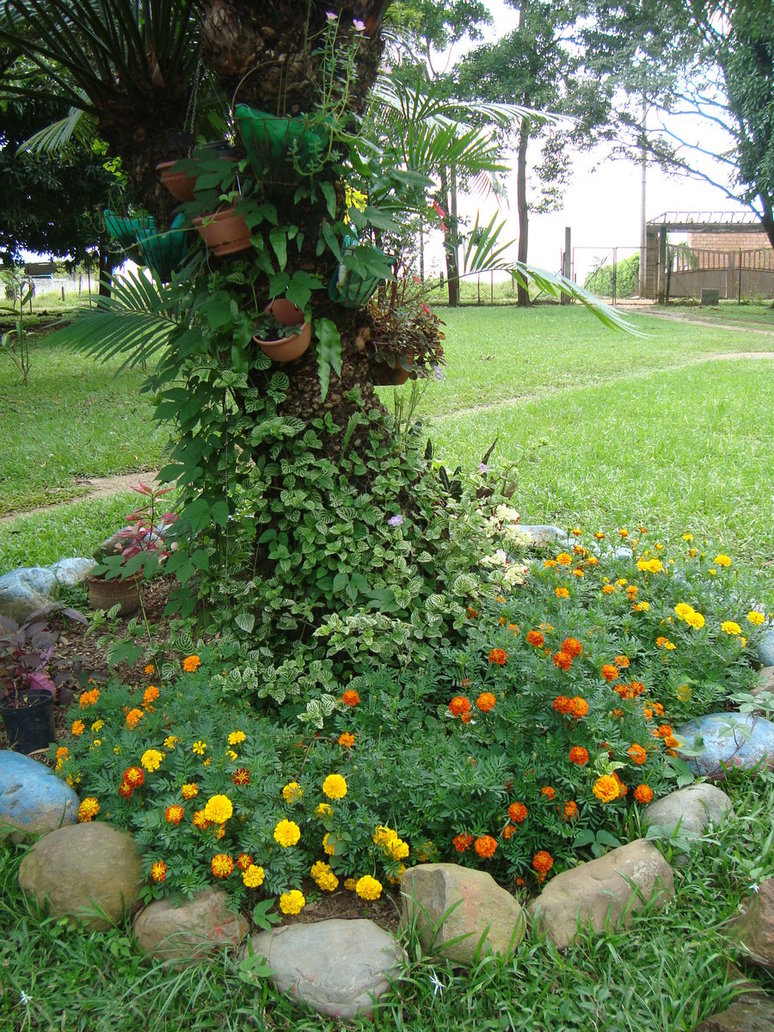 tagetes_by_cerezoinwonderland-d47h3uz.jpg