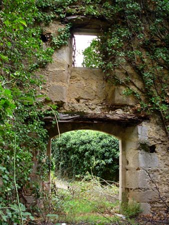 Tamayo.%20Casa%20con%20hiedra%203_16.jpg