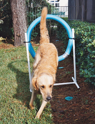 Tanner+Go+Tire.jpg