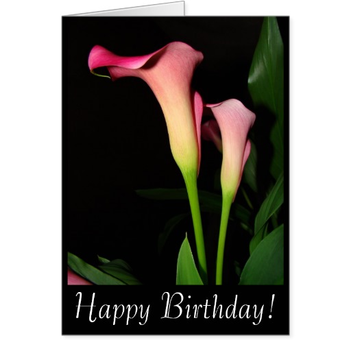 tarjeta_de_cumpleanos_de_las_calas-r1beee523b0084a4aabd85e9149ab9026_xvuat_8byvr_512.jpg