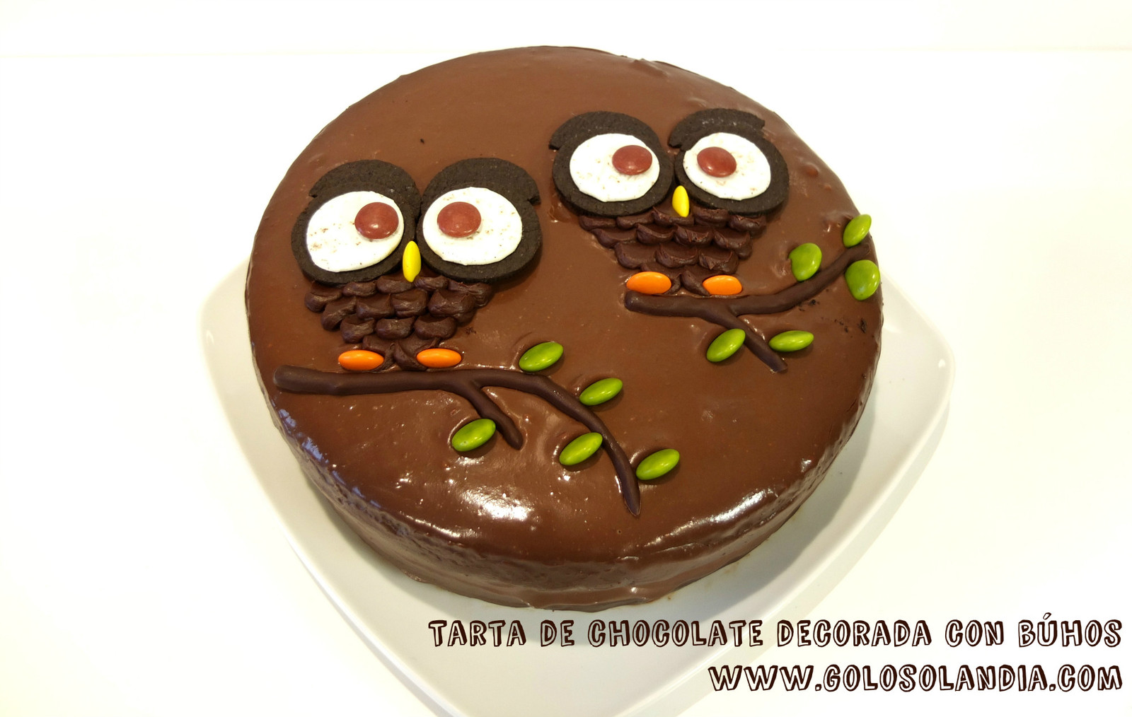 tarta-de-chocolate-decorada-buhos.jpg