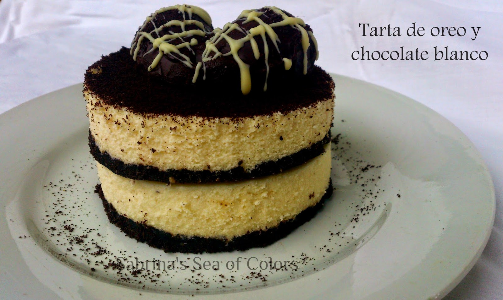 Tarta-de-oreo-y-chocolate-blanco-sin-horno(18).JPG