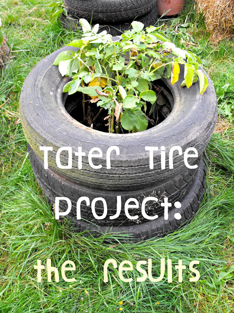 tater+tires.jpg