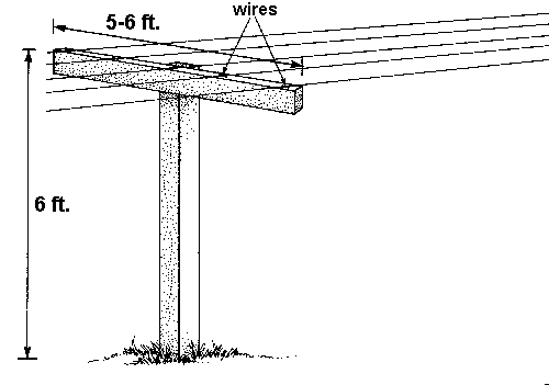 tbarst.gif