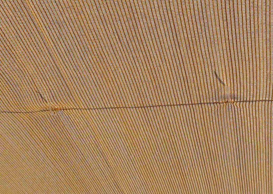 tela%2520sombreo.jpg