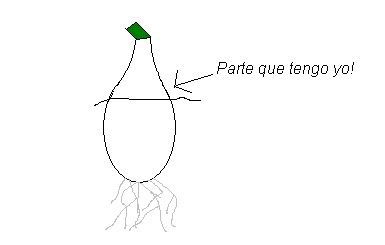 tengoiiio.jpg