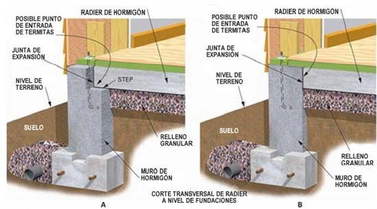 termita2.jpg
