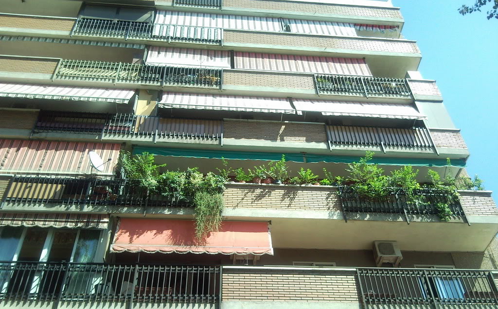 terraza-1.jpg