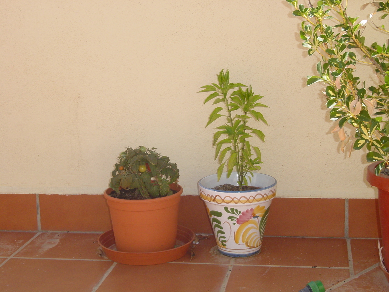 TERRAZA%20008.jpg