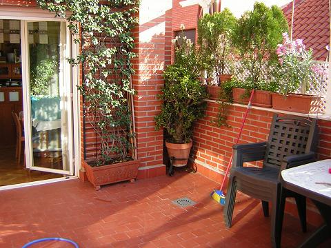 terraza%20obras%203.JPG