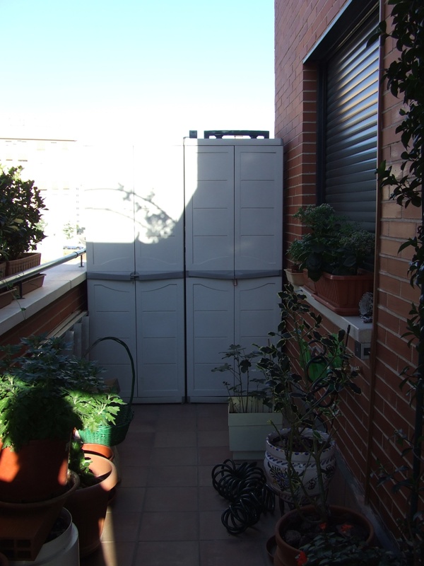Terraza este.JPG