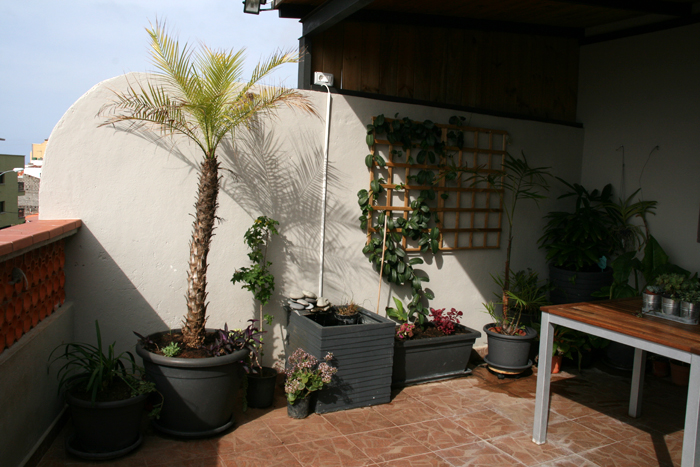 terraza.jpg