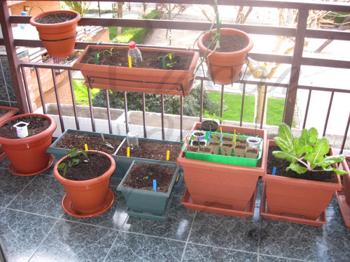 terraza01.jpg