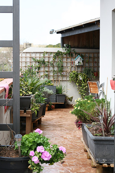 terraza1.jpg
