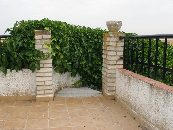 terraza2.jpg