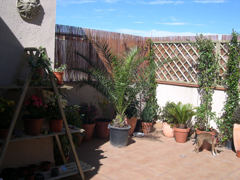 terraza3.jpg