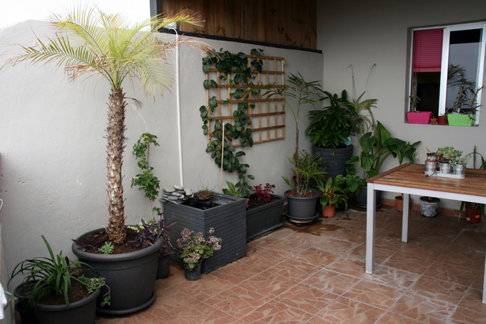 terraza6.jpg