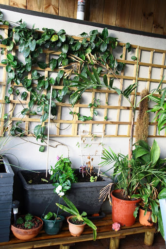terraza6.jpg