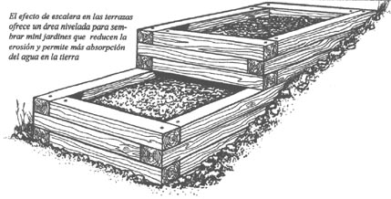 terrazas1.jpg
