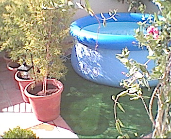 terrazaverano051%20(3).jpg