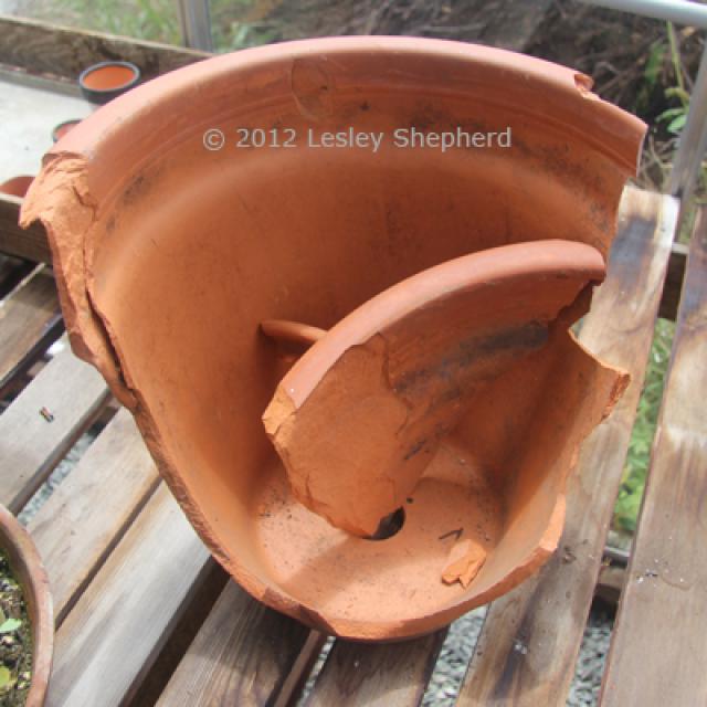 test-fit-pot.jpg