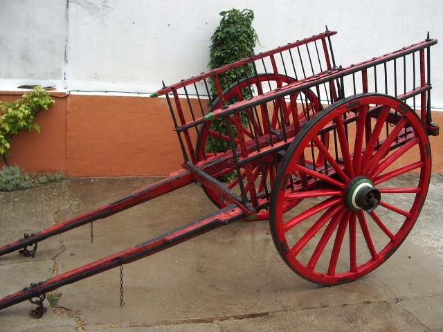 tgCARRO.JPG