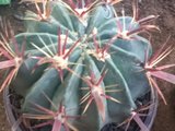 th_009-1.jpg
