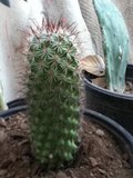 th_009.jpg