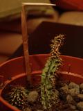 th_04964_PC210236_122_476lo.JPG