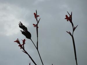 th_05351_Image32_122_455lo.jpg