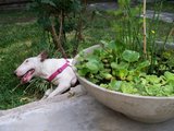th_100_0064.jpg