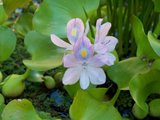 th_100_0066.jpg