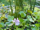 th_100_0067.jpg