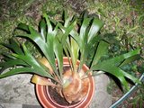 th_100_0570.jpg