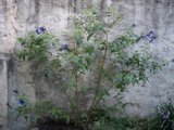 th_100_0577.jpg