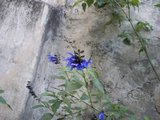 th_100_0578.jpg