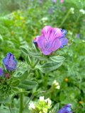 th_130320111337.jpg